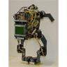 ZORC back view